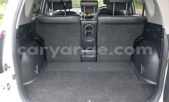 Buy Used Toyota RAV4 White Car in Windhoek in Namibia Buy Used Toyota RAV4 White Car in Windhoek in Namibia