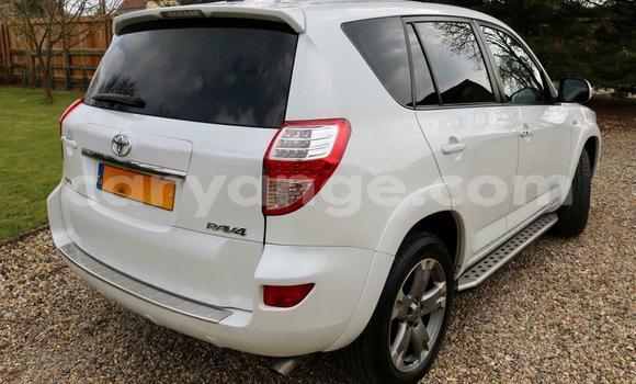 Buy Used Toyota RAV4 White Car in Windhoek in Namibia Buy Used Toyota RAV4 White Car in Windhoek in Namibia