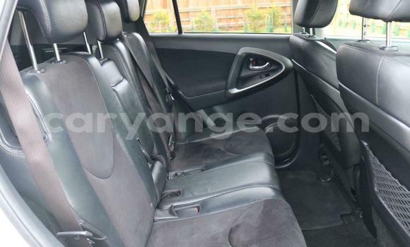 Buy Used Toyota RAV4 White Car in Windhoek in Namibia Buy Used Toyota RAV4 White Car in Windhoek in Namibia