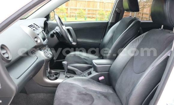 Buy Used Toyota RAV4 White Car in Windhoek in Namibia Buy Used Toyota RAV4 White Car in Windhoek in Namibia