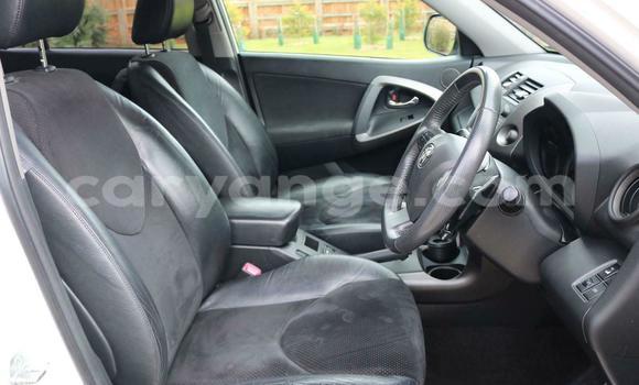 Buy Used Toyota RAV4 White Car in Windhoek in Namibia Buy Used Toyota RAV4 White Car in Windhoek in Namibia