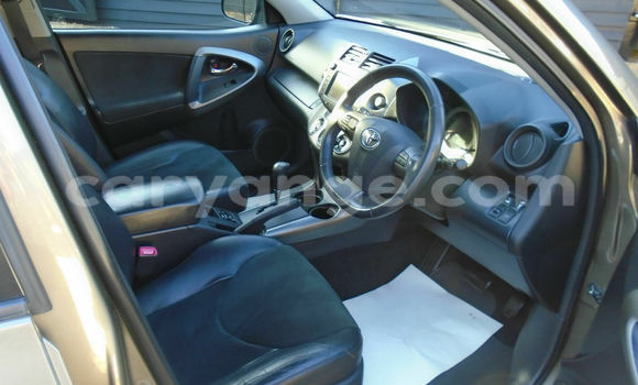 Buy Used Toyota RAV4 Beige Car in Windhoek in Namibia Buy Used Toyota RAV4 Beige Car in Windhoek in Namibia