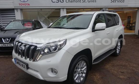 Buy Used Toyota Land Cruiser Prado White Car in Windhoek in Namibia Buy Used Toyota Land Cruiser Prado White Car in Windhoek in Namibia