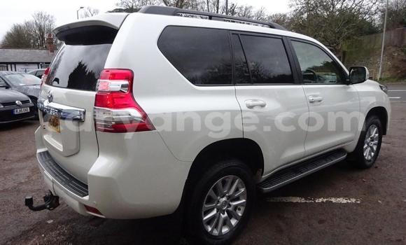 Buy Used Toyota Land Cruiser Prado White Car in Windhoek in Namibia Buy Used Toyota Land Cruiser Prado White Car in Windhoek in Namibia