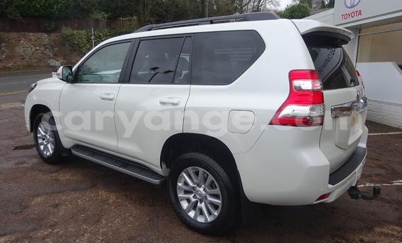 Buy Used Toyota Land Cruiser Prado White Car in Windhoek in Namibia Buy Used Toyota Land Cruiser Prado White Car in Windhoek in Namibia