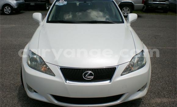 Buy Used Lexus IS White Car in Windhoek in Namibia
