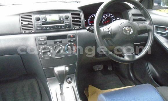 Buy Used Toyota Runx Silver Car in Windhoek in Namibia Buy Used Toyota Runx Silver Car in Windhoek in Namibia