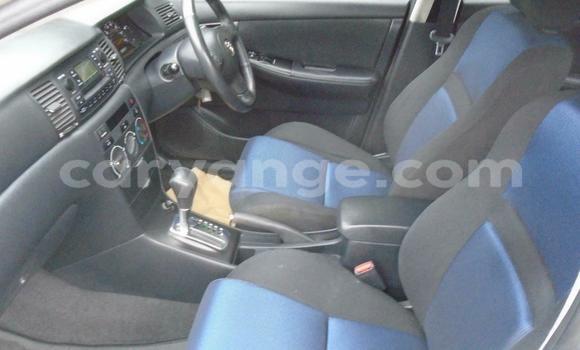 Buy Used Toyota Runx Silver Car in Windhoek in Namibia Buy Used Toyota Runx Silver Car in Windhoek in Namibia