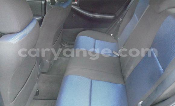 Buy Used Toyota Runx Silver Car in Windhoek in Namibia Buy Used Toyota Runx Silver Car in Windhoek in Namibia