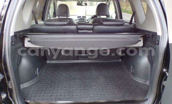 Acheter Occasion Voiture Toyota RAV4 Noir à Windhoek, Namibie Acheter Occasion Voiture Toyota RAV4 Noir à Windhoek, Namibie