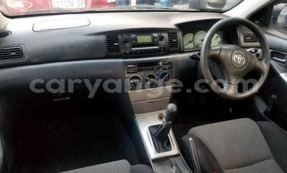 Buy Used Toyota Runx Blue Car in Rundu in Namibia Buy Used Toyota Runx Blue Car in Rundu in Namibia