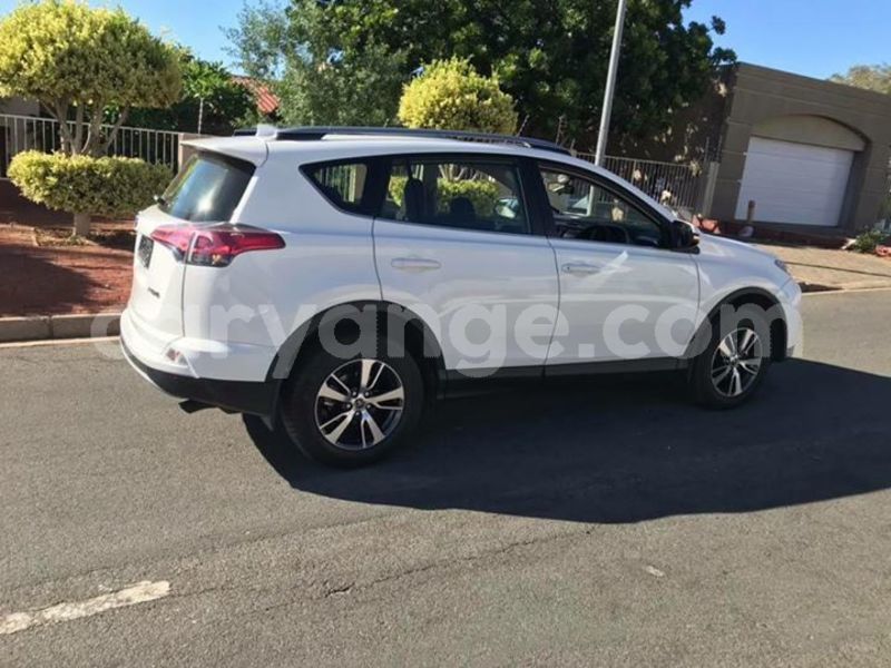 Big with watermark 57076226 290772695148465 3127177160075247616 n