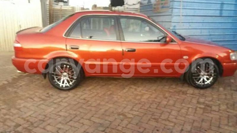 Big with watermark 57183720 136145757514655 4768133668222795776 n