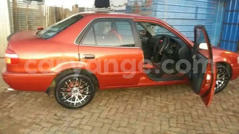 Big with watermark 57113160 136145790847985 3939823717378424832 n