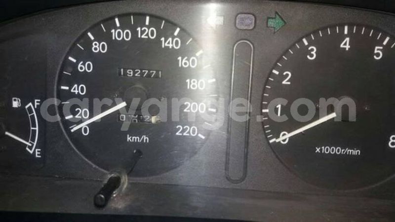 Big with watermark 57101624 136145754181322 1963484281216958464 n