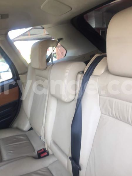 Big with watermark 52130111 1183674901799891 8986508868267802624 n