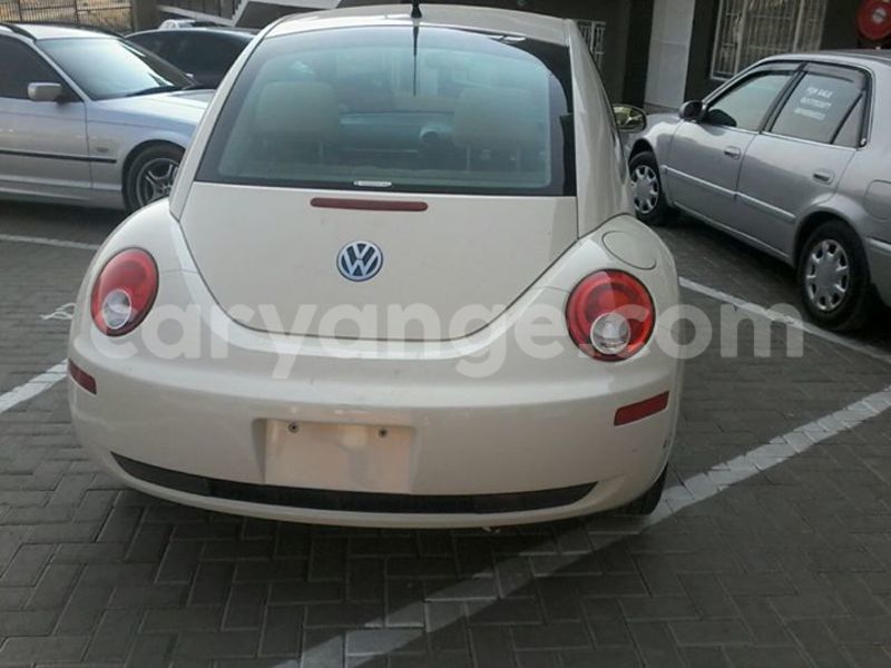 Big with watermark 14344831 10210707138657840 8287266099148065103 n