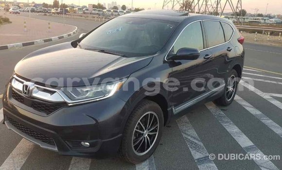 Acheter Import Moto Honda C Autre à Import - Dubai, Namibie Acheter Import Moto Honda C Autre à Import - Dubai, Namibie