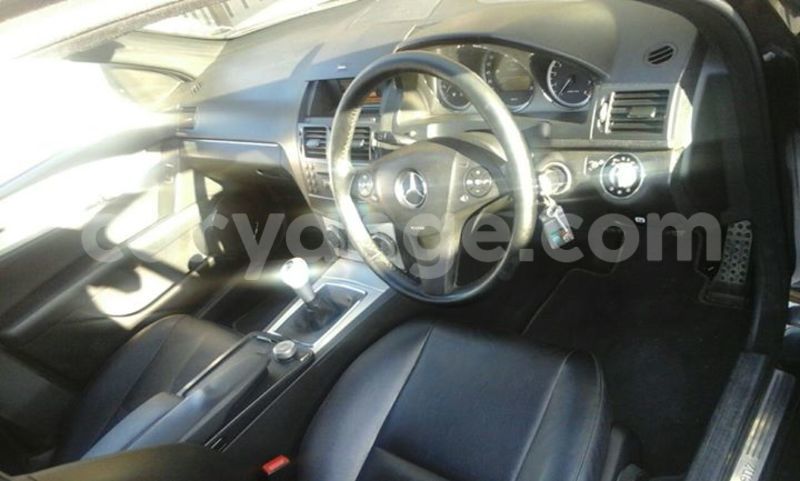 Big with watermark 14344831 10210707138657840 8287266099148065103 n