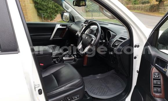 Buy Used Toyota Land Cruiser Prado White Car in Windhoek in Namibia Buy Used Toyota Land Cruiser Prado White Car in Windhoek in Namibia