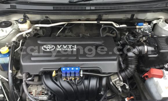 Buy Used Toyota Runx Beige Car in Windhoek in Namibia Buy Used Toyota Runx Beige Car in Windhoek in Namibia