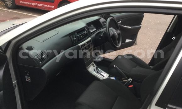 Buy Used Toyota Runx Beige Car in Windhoek in Namibia Buy Used Toyota Runx Beige Car in Windhoek in Namibia