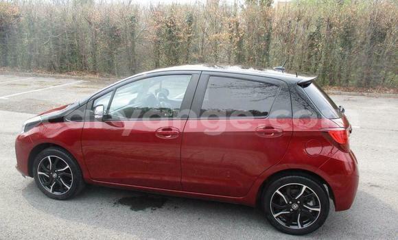 Buy Used Toyota Yaris Beige Car in Windhoek in Namibia Buy Used Toyota Yaris Beige Car in Windhoek in Namibia