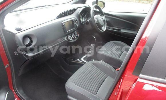 Buy Used Toyota Yaris Beige Car in Windhoek in Namibia Buy Used Toyota Yaris Beige Car in Windhoek in Namibia