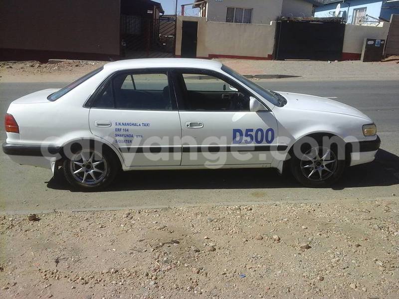 Big with watermark 14316981 10210707138857845 8349215952595816907 n