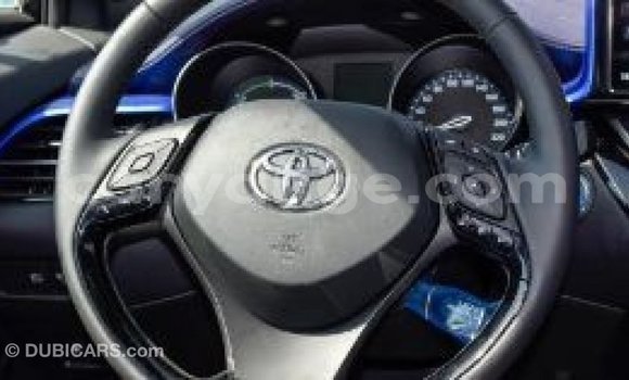 Buy Import Toyota C-HR Other Car in Import - Dubai in Namibia Buy Import Toyota C-HR Other Car in Import - Dubai in Namibia