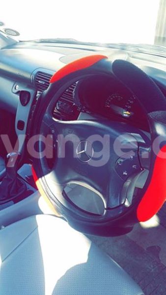 Big with watermark 14344831 10210707138657840 8287266099148065103 n