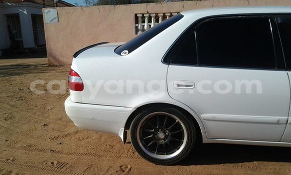 Buy Used Toyota Corolla Black Car in Windhoek in Namibia Buy Used Toyota Corolla Black Car in Windhoek in Namibia