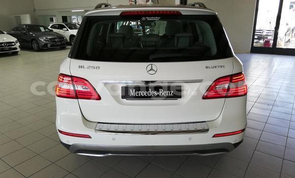 Acheter Occasion Voiture Mercedes-Benz ML–Class Blanc à Windhoek, Namibie Acheter Occasion Voiture Mercedes-Benz ML–Class Blanc à Windhoek, Namibie