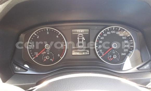 Buy Used Volkswagen Amarok Silver Car in Windhoek in Namibia Buy Used Volkswagen Amarok Silver Car in Windhoek in Namibia