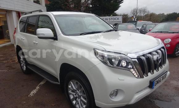 Buy Used Toyota Land Cruiser Prado White Car in Windhoek in Namibia Buy Used Toyota Land Cruiser Prado White Car in Windhoek in Namibia
