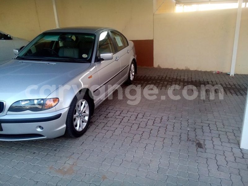 Big with watermark 14344831 10210707138657840 8287266099148065103 n