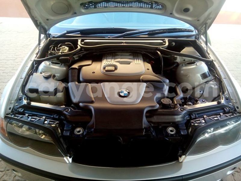 Big with watermark 14368725 10210707138497836 6301935212738049887 n