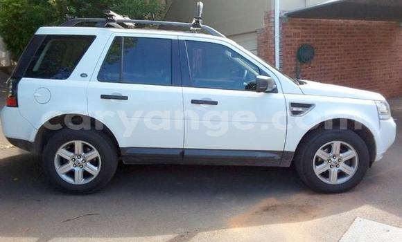 Acheter Occasion Voiture Land Rover Freelander Blanc à Windhoek, Namibie Acheter Occasion Voiture Land Rover Freelander Blanc à Windhoek, Namibie