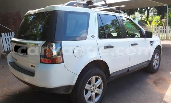 Acheter Occasion Voiture Land Rover Freelander Blanc à Windhoek, Namibie Acheter Occasion Voiture Land Rover Freelander Blanc à Windhoek, Namibie
