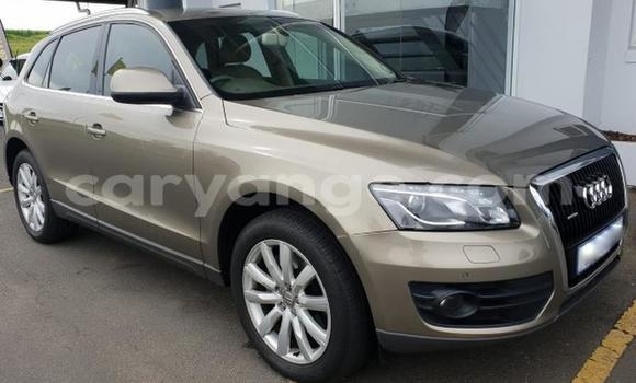Buy Used Audi Q5 Beige Car in Windhoek in Namibia Buy Used Audi Q5 Beige Car in Windhoek in Namibia