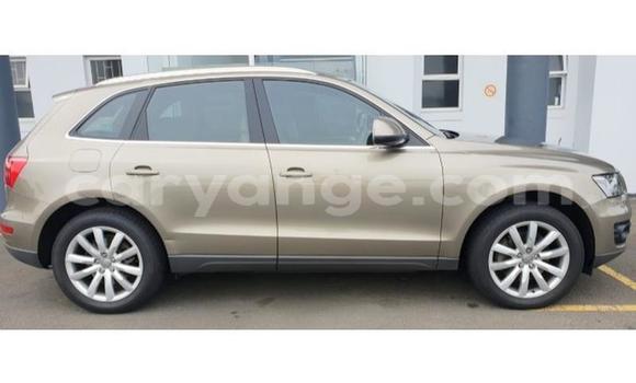 Buy Used Audi Q5 Beige Car in Windhoek in Namibia Buy Used Audi Q5 Beige Car in Windhoek in Namibia