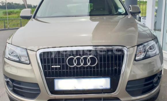 Buy Used Audi Q5 Beige Car in Windhoek in Namibia Buy Used Audi Q5 Beige Car in Windhoek in Namibia