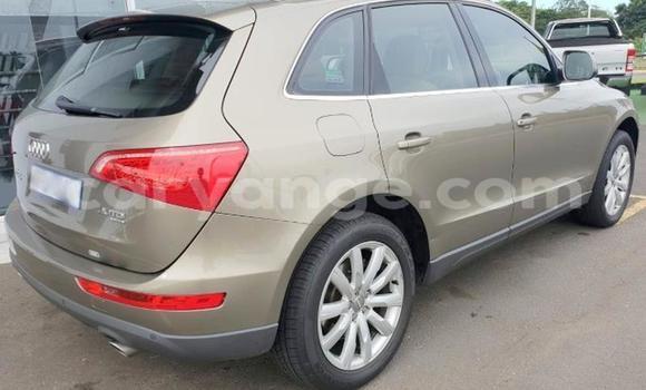 Buy Used Audi Q5 Beige Car in Windhoek in Namibia Buy Used Audi Q5 Beige Car in Windhoek in Namibia