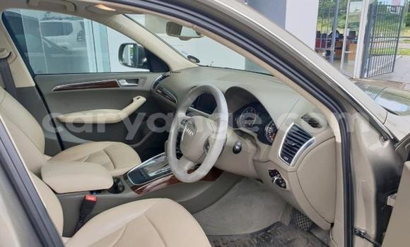 Buy Used Audi Q5 Beige Car in Windhoek in Namibia Buy Used Audi Q5 Beige Car in Windhoek in Namibia