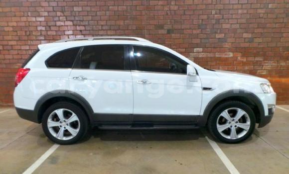 Acheter Occasion Voiture Chevrolet Captiva Blanc à Windhoek, Namibie Acheter Occasion Voiture Chevrolet Captiva Blanc à Windhoek, Namibie