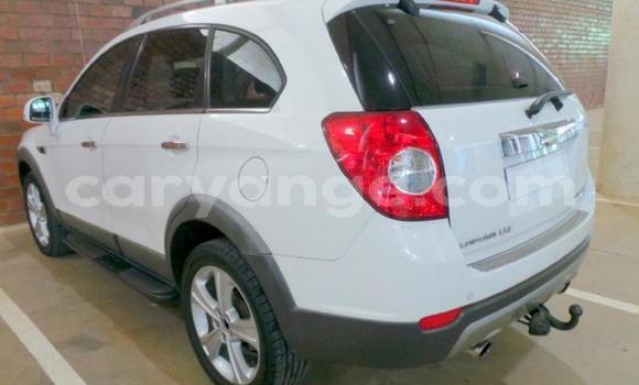 Acheter Occasion Voiture Chevrolet Captiva Blanc à Windhoek, Namibie Acheter Occasion Voiture Chevrolet Captiva Blanc à Windhoek, Namibie