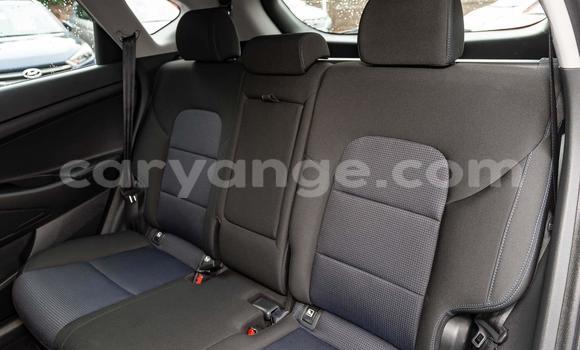 Acheter Occasion Voiture Hyundai Tucson Blanc à Windhoek, Namibie Acheter Occasion Voiture Hyundai Tucson Blanc à Windhoek, Namibie