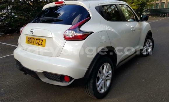 Buy Used Nissan Juke White Car in Windhoek in Namibia Buy Used Nissan Juke White Car in Windhoek in Namibia