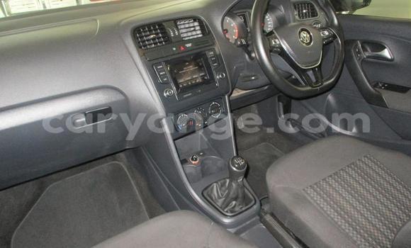Buy Used Volkswagen Polo Silver Car in Windhoek in Namibia Buy Used Volkswagen Polo Silver Car in Windhoek in Namibia