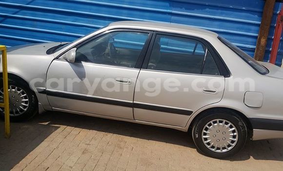 Buy Used Toyota Corolla Black Car in Windhoek in Namibia Buy Used Toyota Corolla Black Car in Windhoek in Namibia